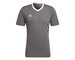 ADIDAS MAGLIA ENT22 - GREY