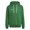 ADIDAS FELPA ENT22 HOODY - GREEN/WHITE