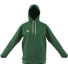 ADIDAS FELPA ENT22 HOODY - GREEN/WHITE