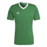 ADIDAS ENT22 JSY - TEAGRN/WHITE
