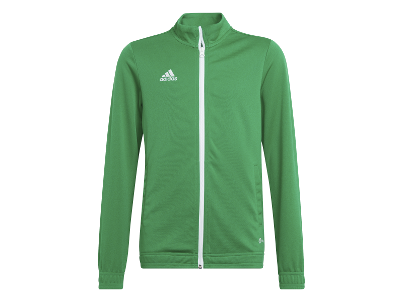 ADIDAS GIACCA ENT22 JR. - GREEN/WHITE