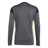 ADIDAS TIRO25 COMPETITION GOALKEEPER JERSEY LONG SLEEVE - GREY FIVE