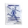 PHARMAPIU' GHIACCIO IST. BUSTA SPORT cm15x18