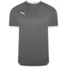 PUMA MAGLIA TEAMLIGA - SMOKED PEARL