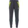 ADIDAS TIRO24 TR PANT - TMONIX/TMSSYE