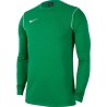 NIKE FELPA ALLENAMENTO PARK 20 - PINE GREEN/WHITE