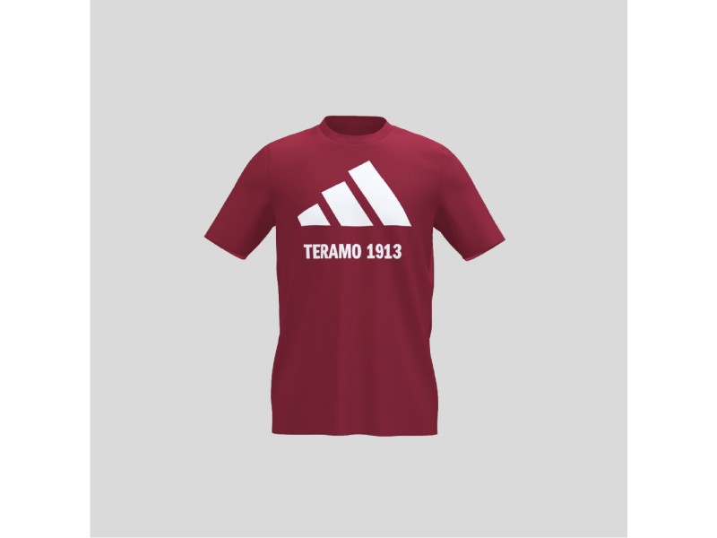 TERAMO CALCIO 1913 2025 T-SHIRT RED