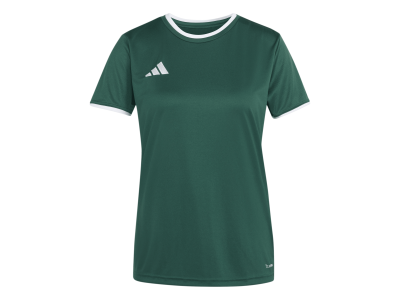 ADIDAS ENTRADA26 JERSEY W. - DRKGRN/WHITE