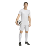 ADIDAS ENTRADA26 SHORTS - TMLGGR/WHITE