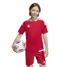 ADIDAS TIRO26 COMPETITION MATCH DAY JERSEY JR. - TEPORE/WHITE