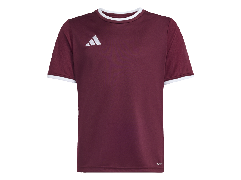 ADIDAS ENTRADA26 JERSEY JR. - TEAMAR/WHITE