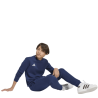 ADIDAS ENTRADA26 SWEAT TOP JR. - TENABL/WHITE