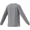 ADIDAS ENTRADA26 SWEAT TOP W. - TMLGGR/WHITE