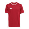 ADIDAS ENTRADA26 JERSEY JR. - TEPORE/WHITE