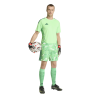 ADIDAS TIRO26 COMPETITION GK. JERSEY - LIMBUR