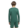 ADIDAS ENTRADA26 LONG SLEEVE JERSEY JR. - DRKGRN/WHITE