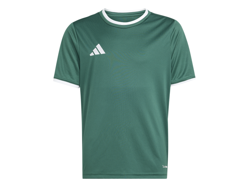 ADIDAS ENTRADA26 JERSEY JR. - DRKGRN/WHITE
