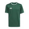 ADIDAS ENTRADA26 JERSEY JR. - DRKGRN/WHITE