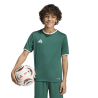 ADIDAS ENTRADA26 JERSEY JR. - DRKGRN/WHITE