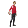 ADIDAS TIRO26 COMPETITION TRAINING JACKET - TEPORE