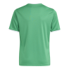ADIDAS ENTRADA26 JERSEY JR. - TEAGRN/WHITE