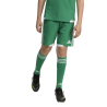 ADIDAS TIRO26 C M SHORTS JR. - TEAGRN/WHITE