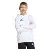 ADIDAS ENTRADA26 HOODIE JR. - WHITE/BLACK