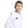 ADIDAS ENTRADA26 HOODIE JR. - WHITE/BLACK