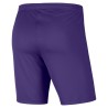 NIKE PANTALONCINO DRI-FIT PARK 3 - PURPLE/WHITE