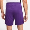 NIKE PANTALONCINO DRI-FIT PARK 3 - PURPLE/WHITE