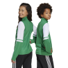 ADIDAS SQUADRA25 TRAINING TOP JR. - TEAM GREEN/WHITE