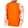 NIKE MAGLIA PARK 4 GOALKEEPER - ORANGE/WHITE