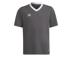 ADIDAS MAGLIA ENT22 JR. - GREY