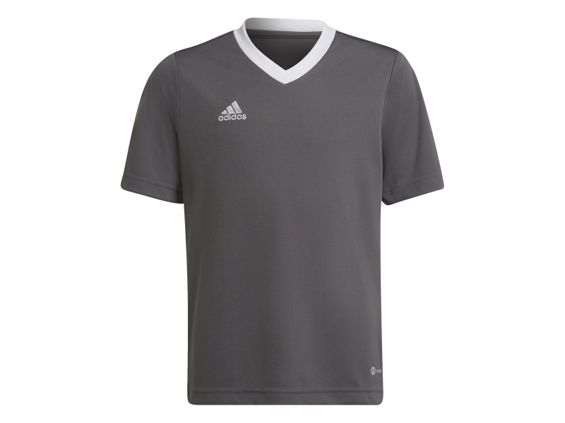 ADIDAS MAGLIA ENT22 JR. - GREY