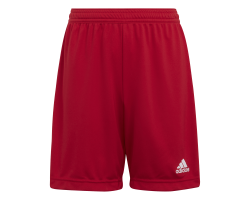 ADIDAS PANTALONCINO 1/4...