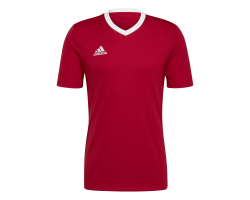 ADIDAS MAGLIA ENT22 - POWER...
